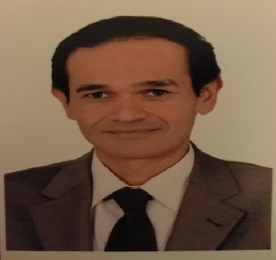 Khaled Mohamed El-Sayed